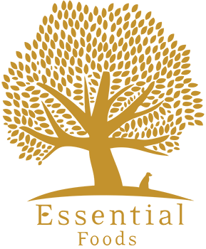 Essential_Foods_logo_small